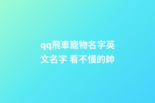 qq飛車寵物名字英文名字 看不懂的帥